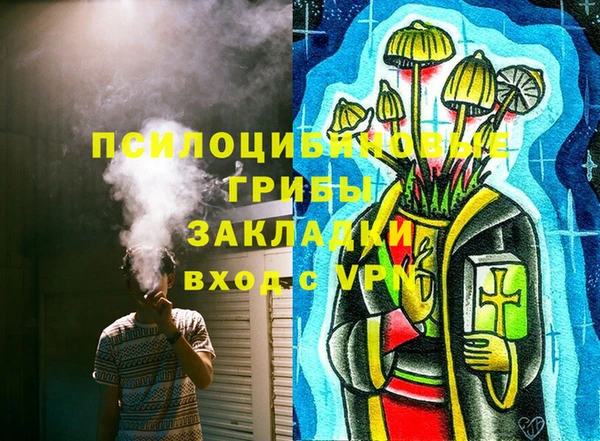 apvp Нязепетровск