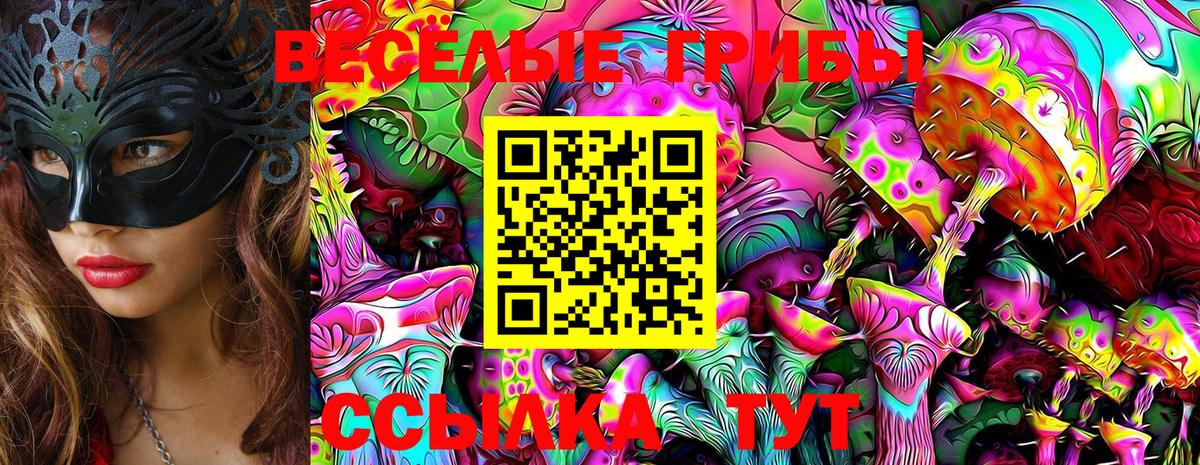 Галлюциногенные грибы GOLDEN TEACHER Новоуральск