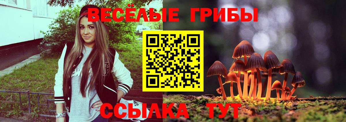 как найти закладки  Галлюциногенные грибы Magic Shrooms  Новоуральск  Вход с VPN  Галлюциногенные грибы мухоморы 